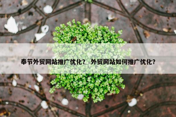 奉节外贸网站推广优化？ 外贸网站如何推广优化？