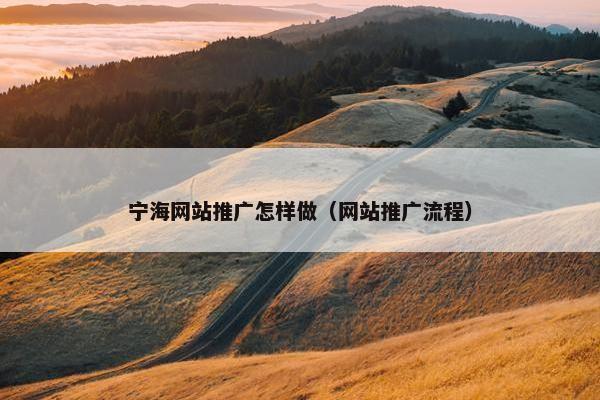 宁海网站推广怎样做（网站推广流程）