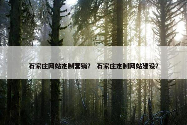 石家庄网站定制营销？ 石家庄定制网站建设？