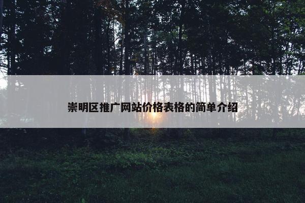 崇明区推广网站价格表格的简单介绍