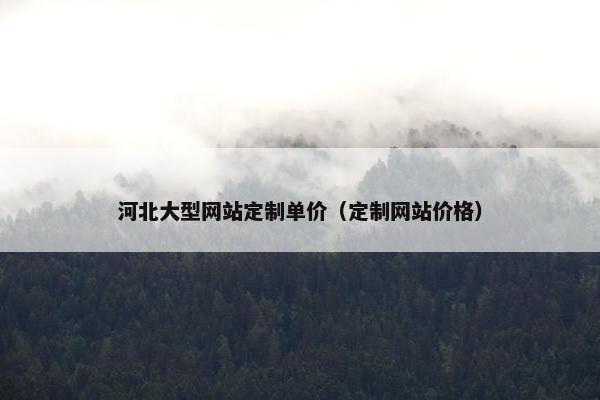河北大型网站定制单价（定制网站价格）