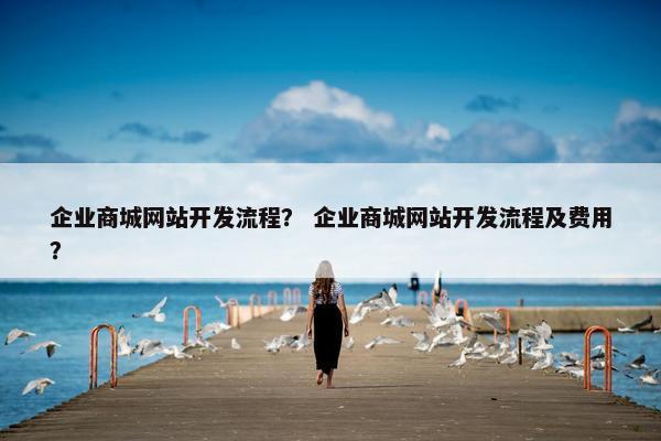 企业商城网站开发流程？ 企业商城网站开发流程及费用？