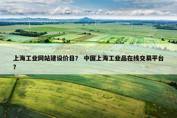 上海工业网站建设价目？ 中国上海工业品在线交易平台？