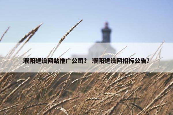濮阳建设网站推广公司？ 濮阳建设网招标公告？