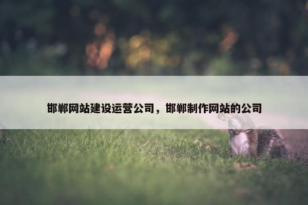 邯郸网站建设运营公司，邯郸制作网站的公司