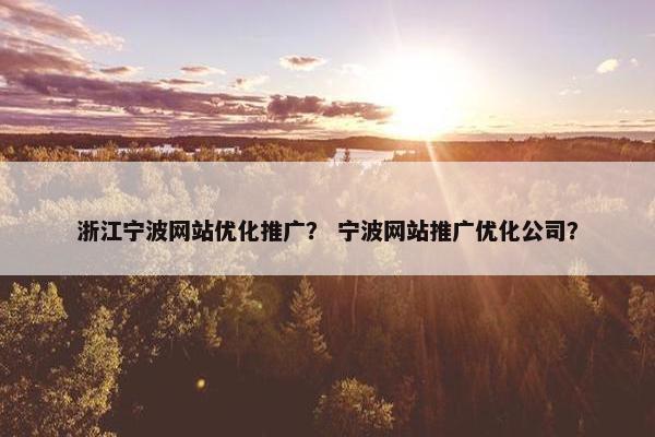 浙江宁波网站优化推广？ 宁波网站推广优化公司？