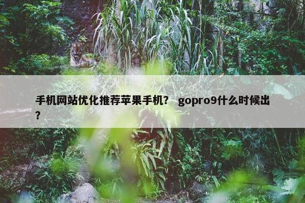 手机网站优化推荐苹果手机？ gopro9什么时候出？