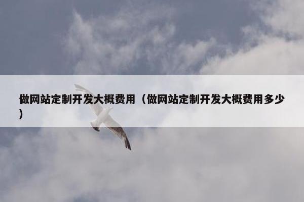 做网站定制开发大概费用（做网站定制开发大概费用多少）