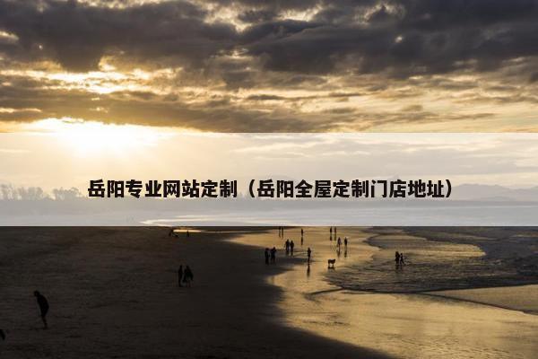 岳阳专业网站定制（岳阳全屋定制门店地址）