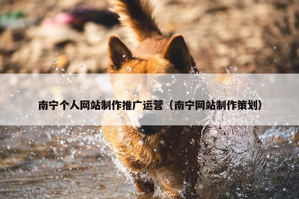 南宁个人网站制作推广运营（南宁网站制作策划）