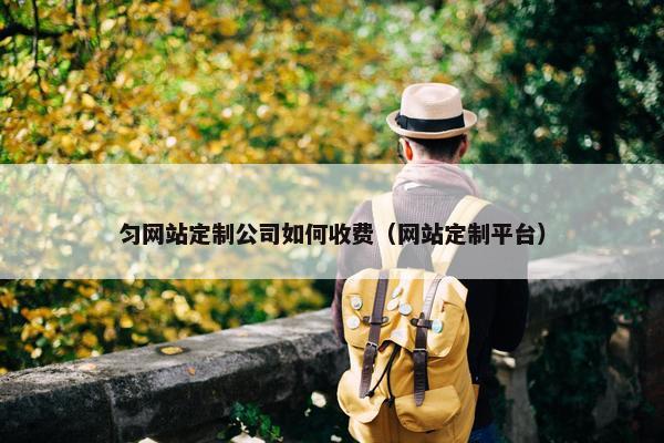 匀网站定制公司如何收费（网站定制平台）