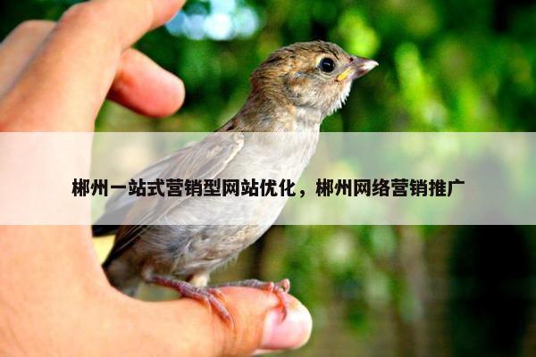 郴州一站式营销型网站优化，郴州网络营销推广