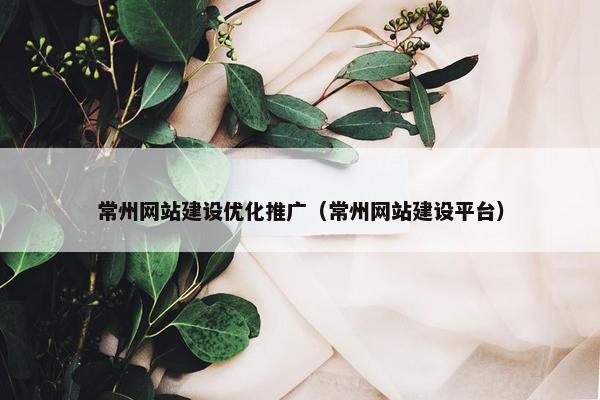 常州网站建设优化推广（常州网站建设平台）