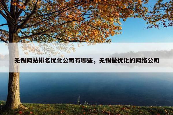 无锡网站排名优化公司有哪些，无锡做优化的网络公司