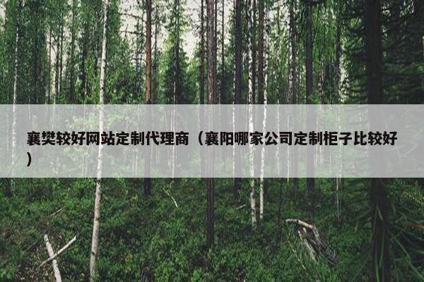 襄樊较好网站定制代理商（襄阳哪家公司定制柜子比较好）