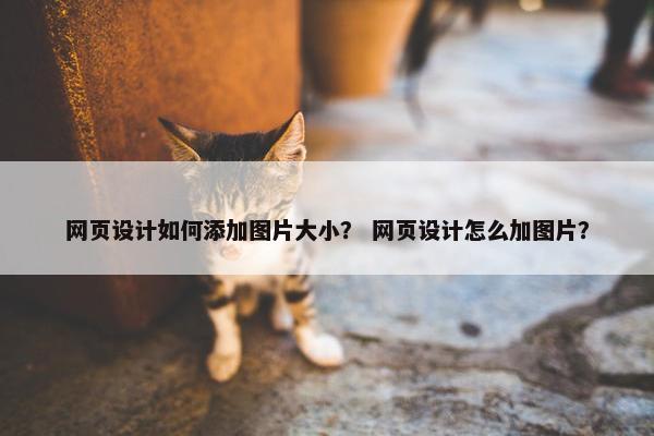 网页设计如何添加图片大小？ 网页设计怎么加图片？