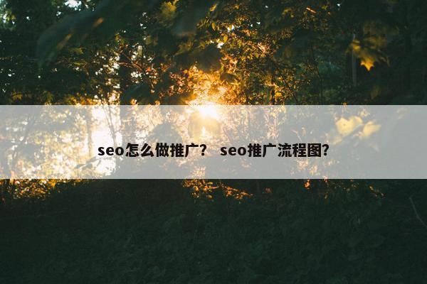 seo怎么做推广？ seo推广流程图？