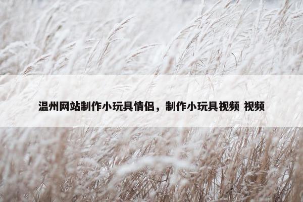 温州网站制作小玩具情侣，制作小玩具视频 视频