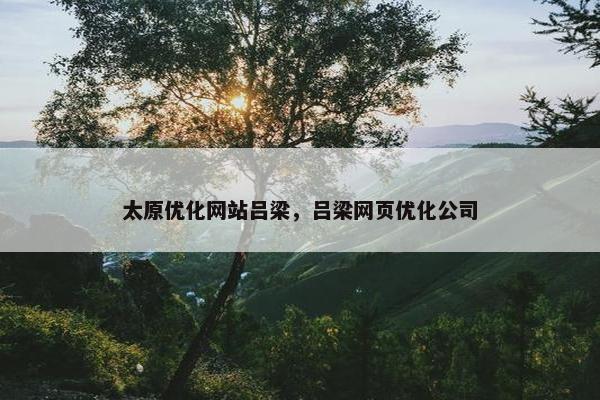 太原优化网站吕梁，吕梁网页优化公司