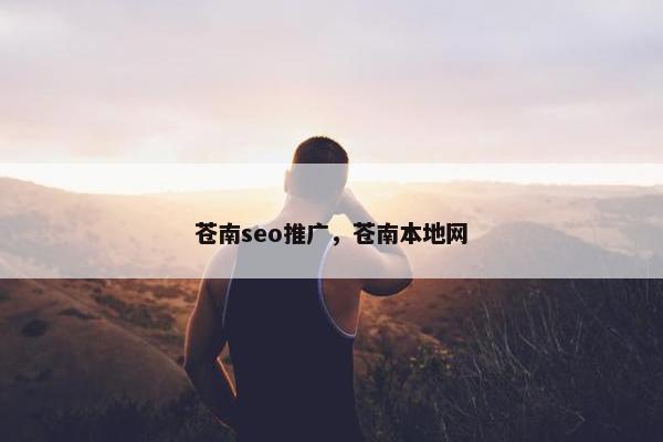苍南seo推广，苍南本地网