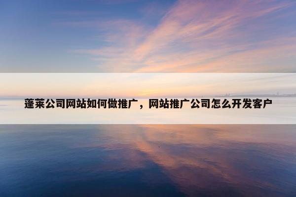 蓬莱公司网站如何做推广，网站推广公司怎么开发客户