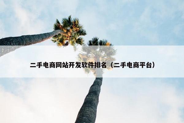 二手电商网站开发软件排名（二手电商平台）