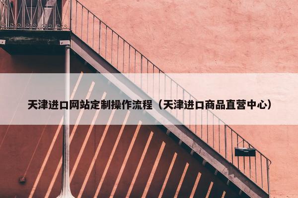 天津进口网站定制操作流程（天津进口商品直营中心）
