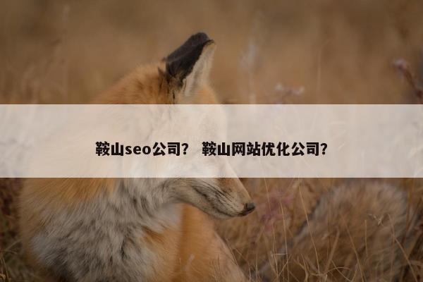 鞍山seo公司？ 鞍山网站优化公司？