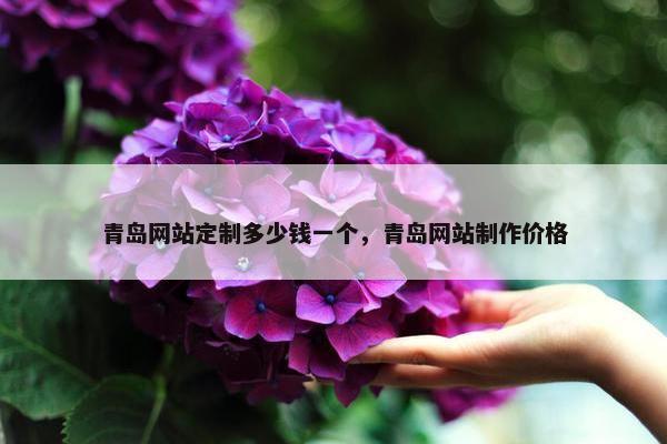 青岛网站定制多少钱一个，青岛网站制作价格