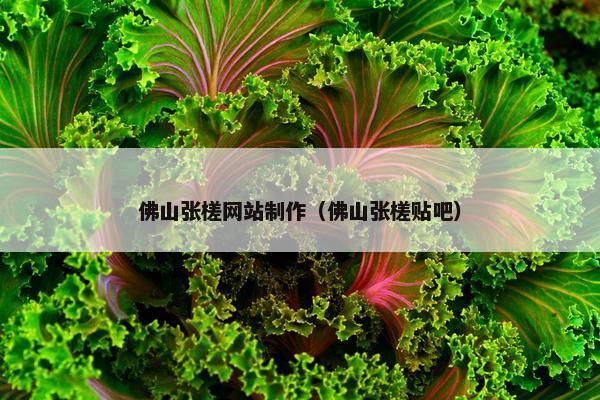 佛山张槎网站制作（佛山张槎贴吧）