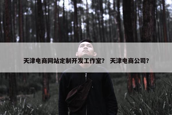 天津电商网站定制开发工作室？ 天津电商公司？