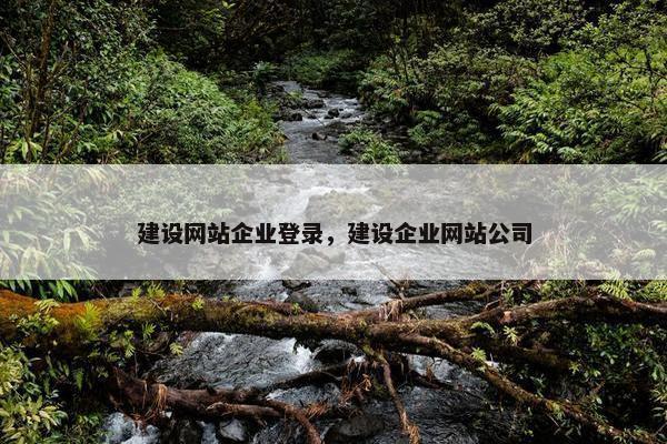 建设网站企业登录，建设企业网站公司