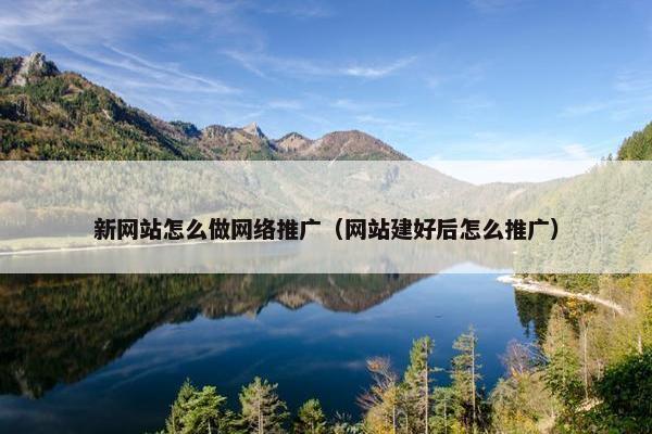 新网站怎么做网络推广（网站建好后怎么推广）