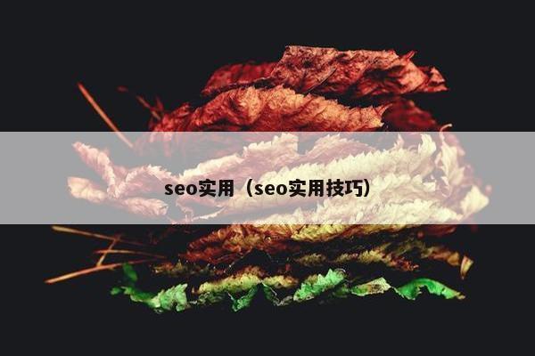 seo实用（seo实用技巧）