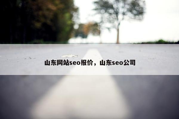 山东网站seo报价，山东seo公司