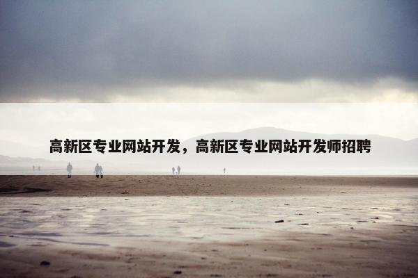 高新区专业网站开发，高新区专业网站开发师招聘