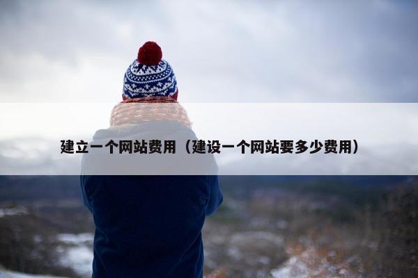 建立一个网站费用（建设一个网站要多少费用）