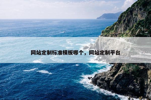 网站定制标准模板哪个，网站定制平台