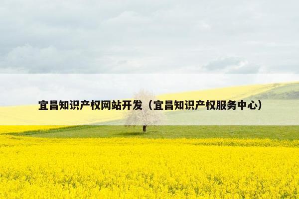 宜昌知识产权网站开发（宜昌知识产权服务中心）