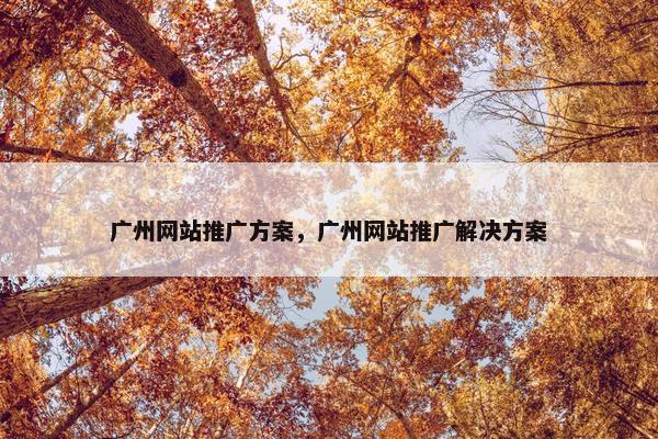 广州网站推广方案，广州网站推广解决方案