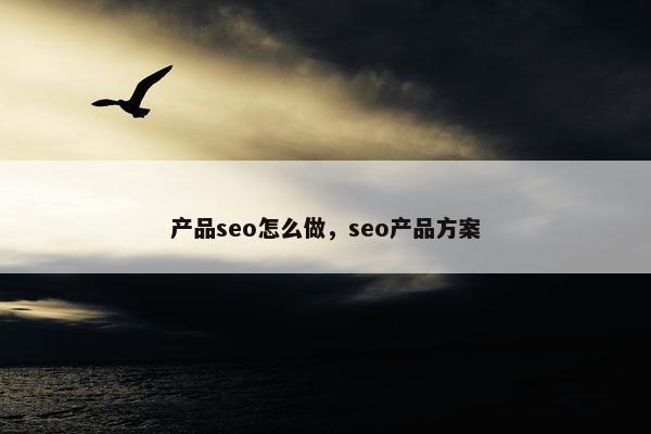 产品seo怎么做，seo产品方案