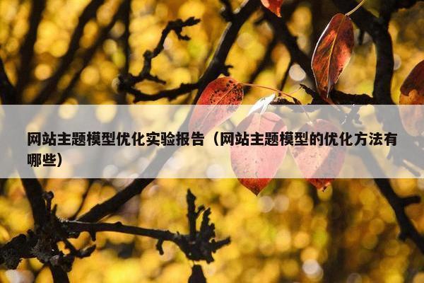 网站主题模型优化实验报告（网站主题模型的优化方法有哪些）