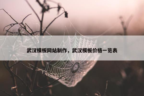 武汉模板网站制作，武汉模板价格一览表