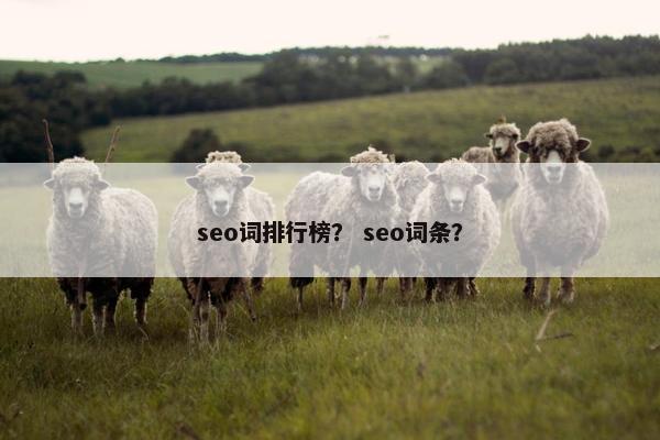 seo词排行榜？ seo词条？