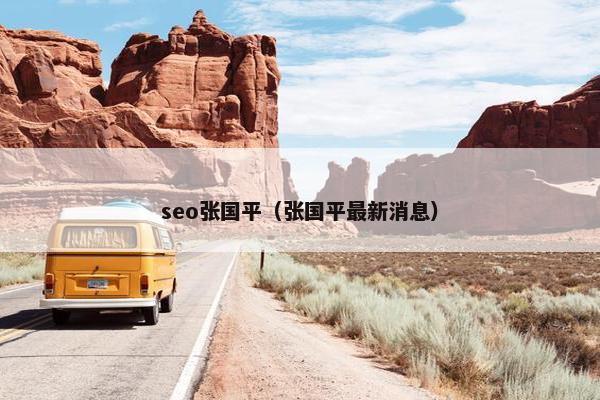 seo张国平（张国平最新消息）