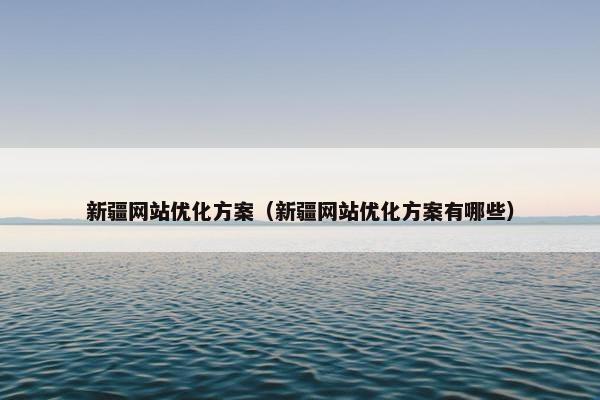 新疆网站优化方案（新疆网站优化方案有哪些）