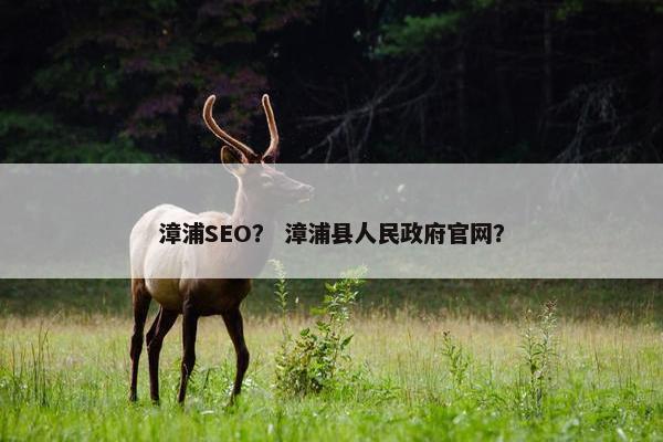 漳浦SEO？ 漳浦县人民政府官网？