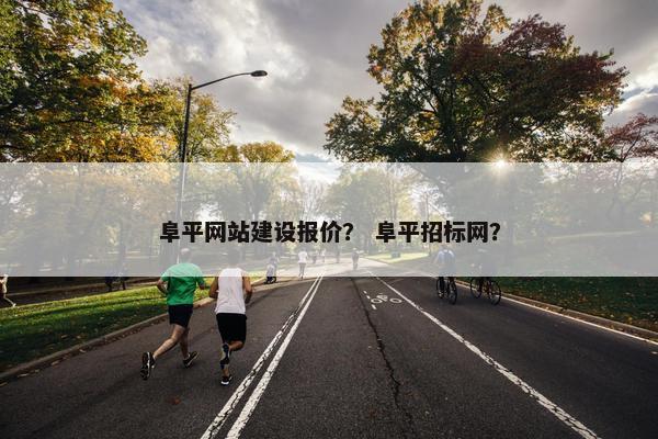 阜平网站建设报价？ 阜平招标网？