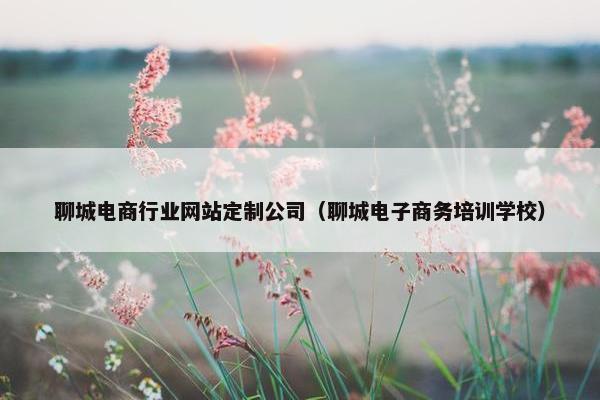 聊城电商行业网站定制公司（聊城电子商务培训学校）