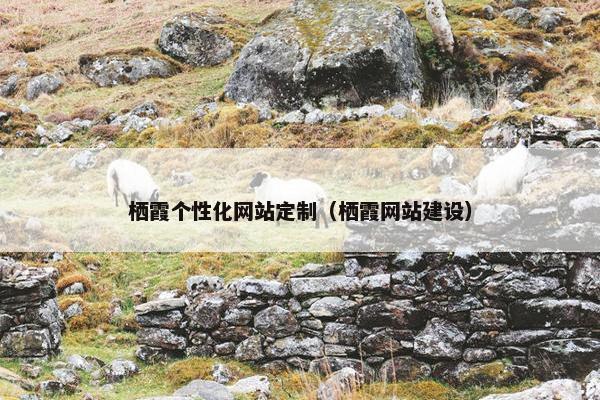 栖霞个性化网站定制（栖霞网站建设）